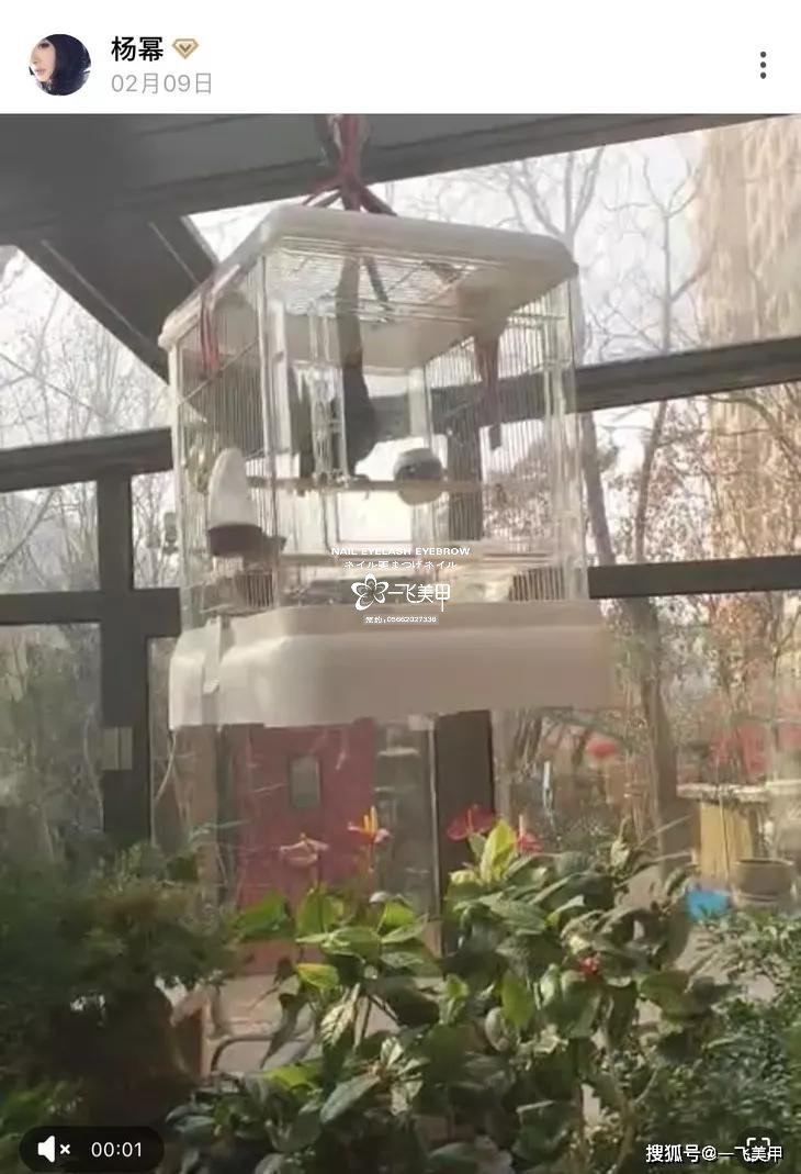驚呆了！女明星宅在家做這件事瘦到了90斤，你們信不信？