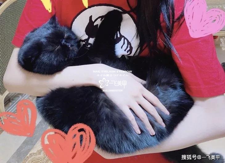 驚呆了！女明星宅在家做這件事瘦到了90斤，你們信不信？