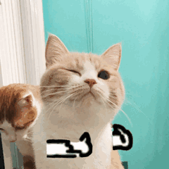 為什么你拍的美甲圖，朋友圈里沒(méi)人點(diǎn)贊？