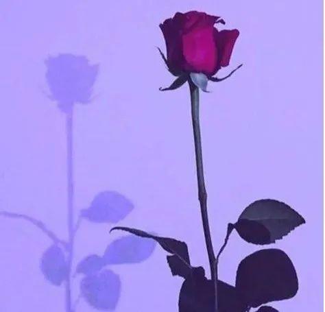 今年春夏超流行的4組配色，穿對了巨顯白巨顯貴！
