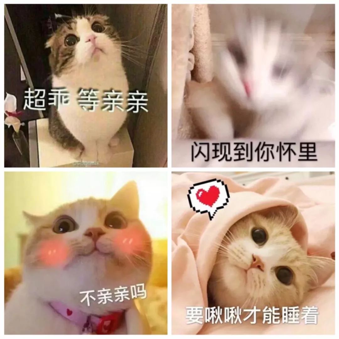 “撩漢”表情包，張張都是絕殺！