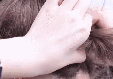 出街必備的仙女發(fā)型，時髦又清爽