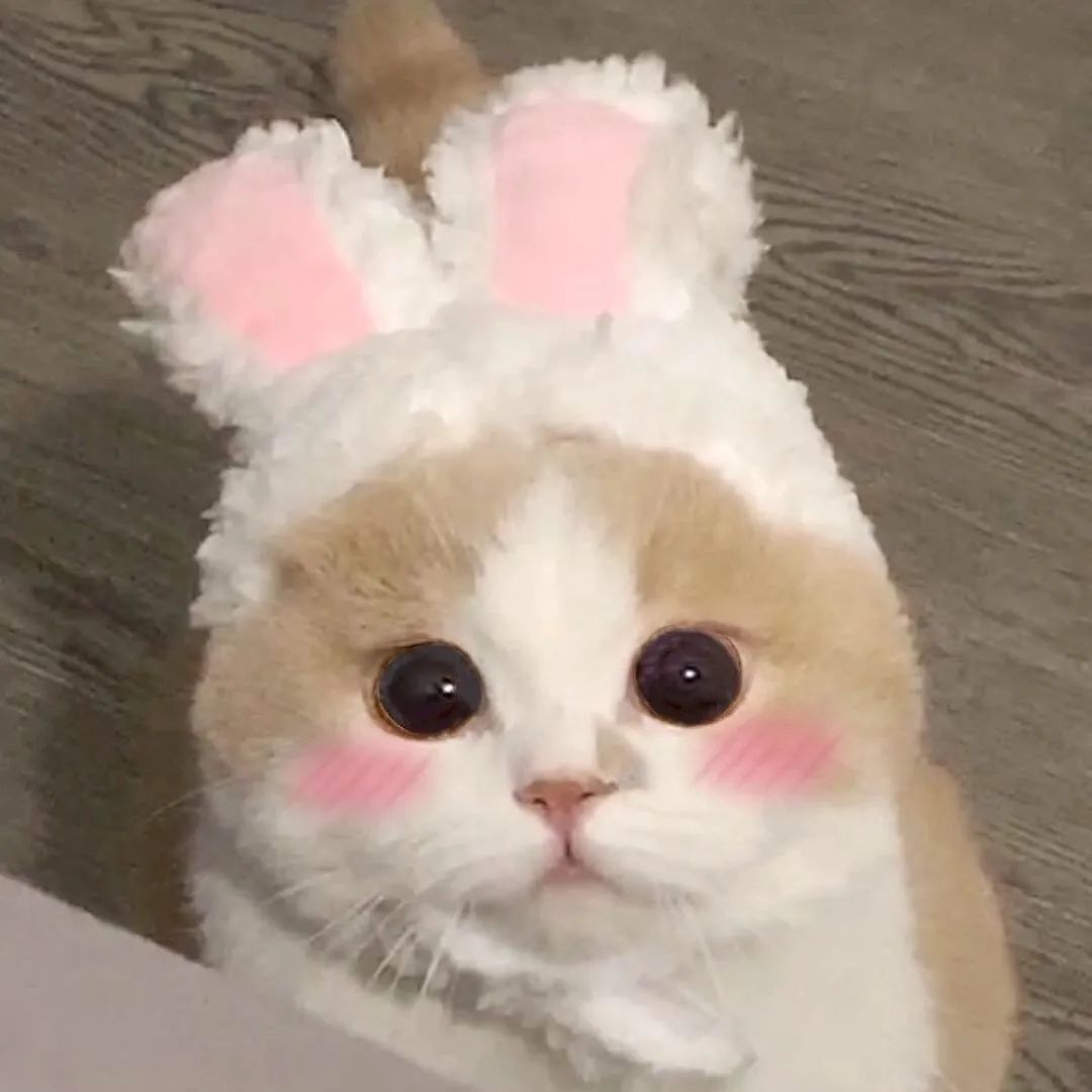 大火的晶石貓眼怎么搭才好看？