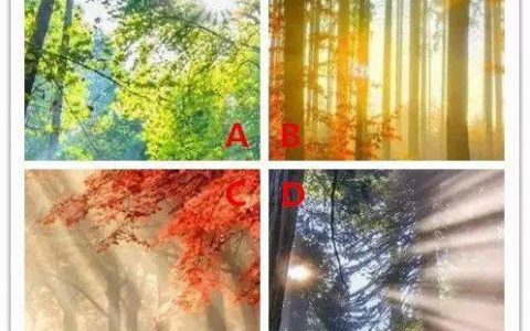 四束陽光，你最喜歡哪束？測出你是什么命？