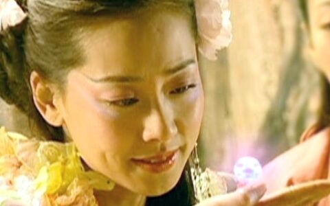 張衛(wèi)健老婆懟噴子，曾飾演仙劍一美貌蝴蝶精
