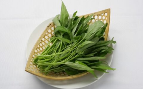 科學(xué)減肥一個(gè)月瘦，科學(xué)減肥怎么一個(gè)月瘦十斤