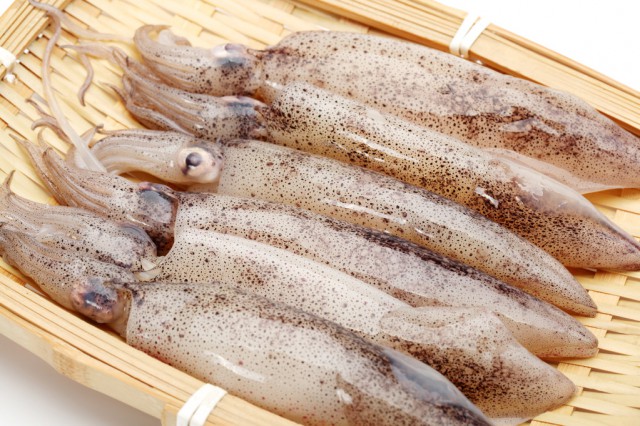 身體瘦怎么補充營養(yǎng)增肥，身體太瘦吃什么增肥